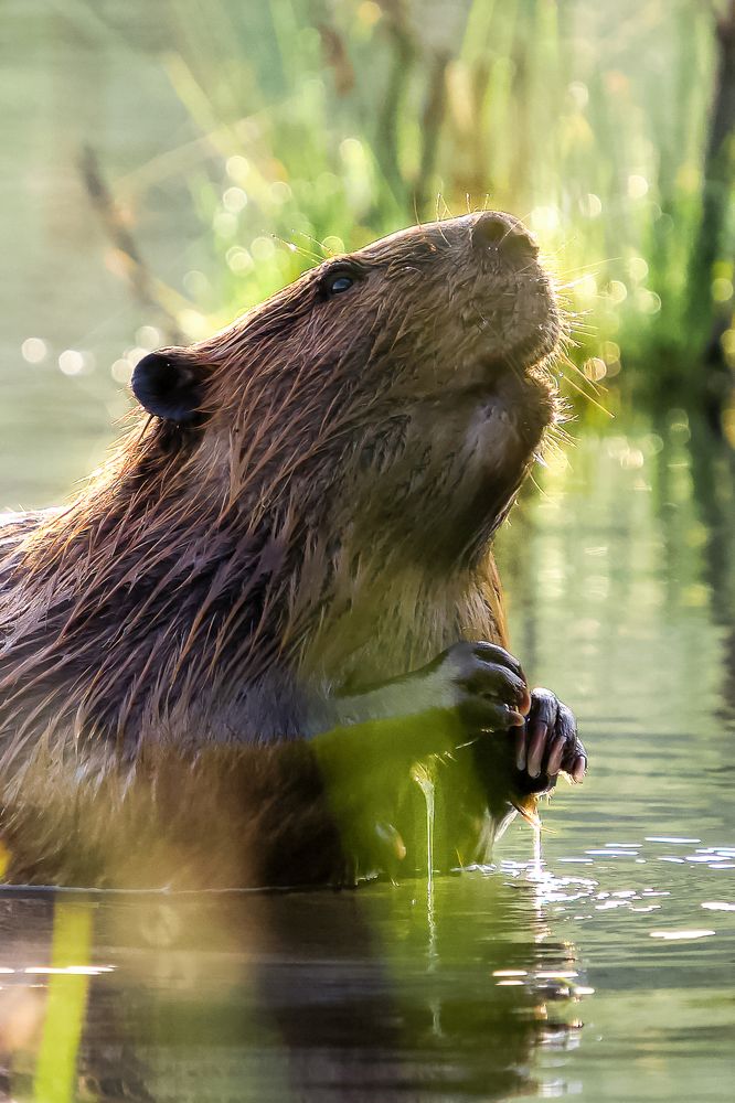 Photograph by Shauna Hart