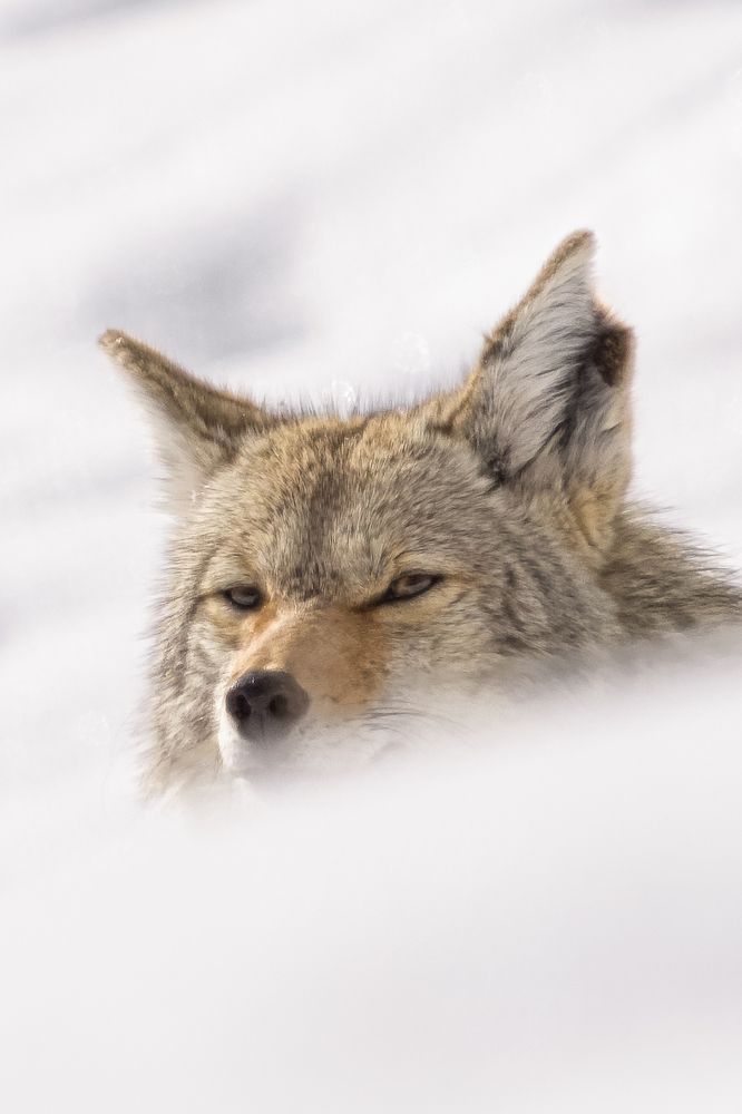 Photograph by Shauna Hart