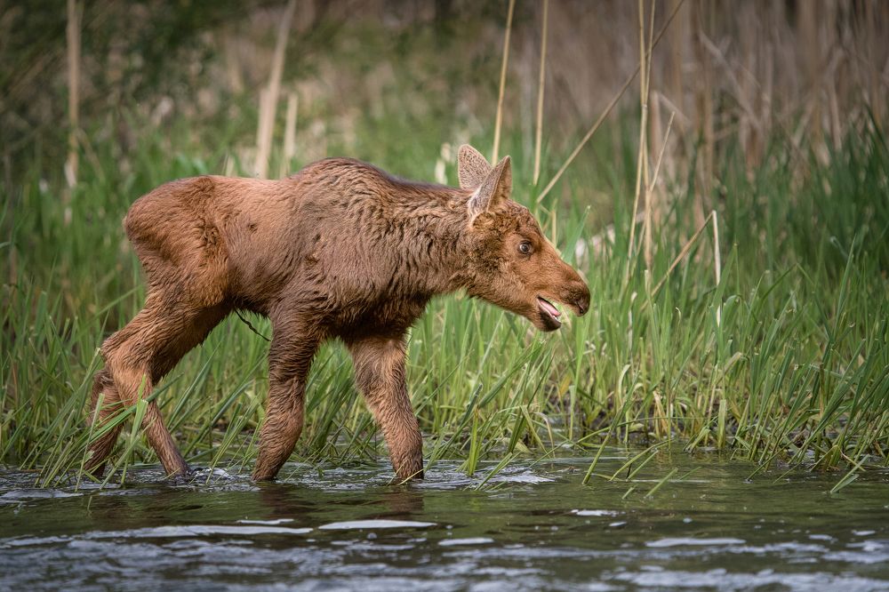 Photograph by Shauna Hart