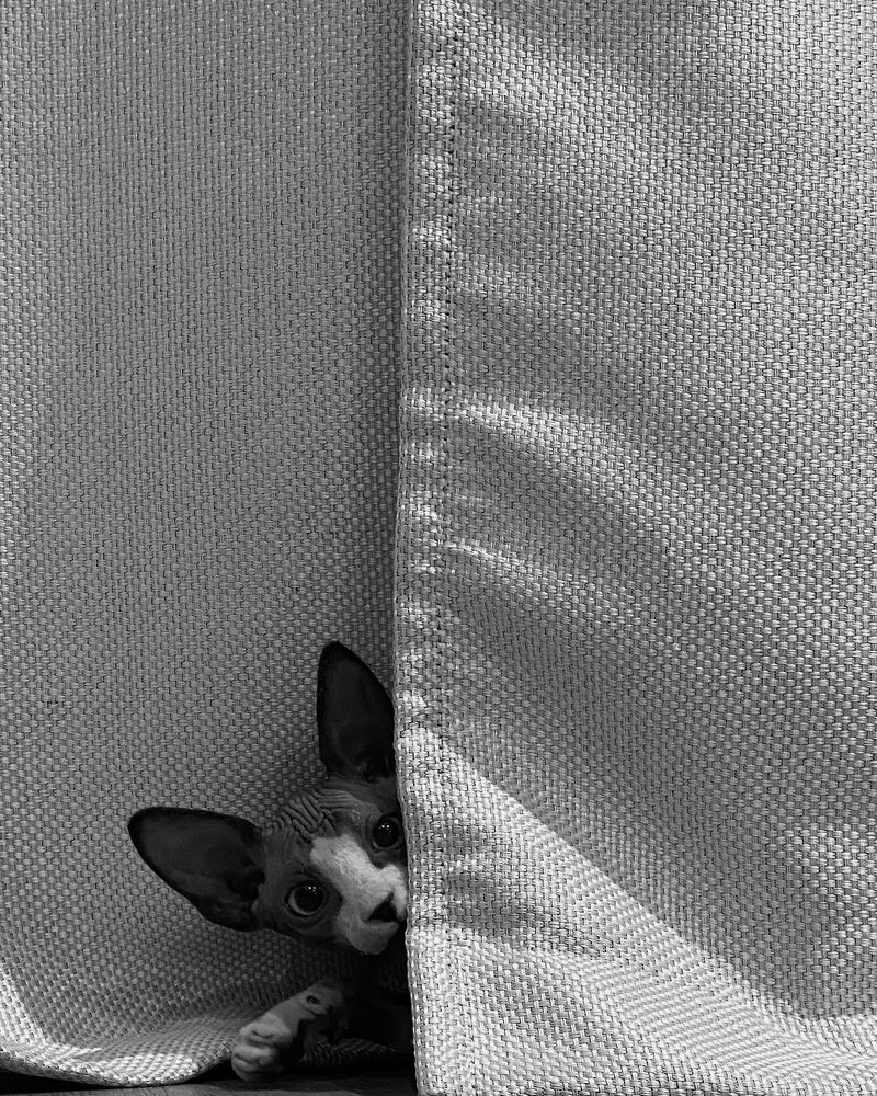 Photograph by Ольга Осинина