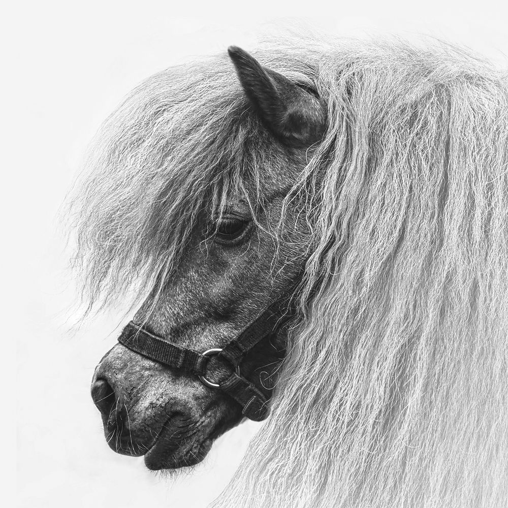 Photograph by Анжелика Титова