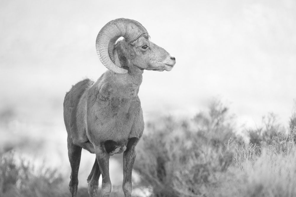 Photograph by Shauna Hart