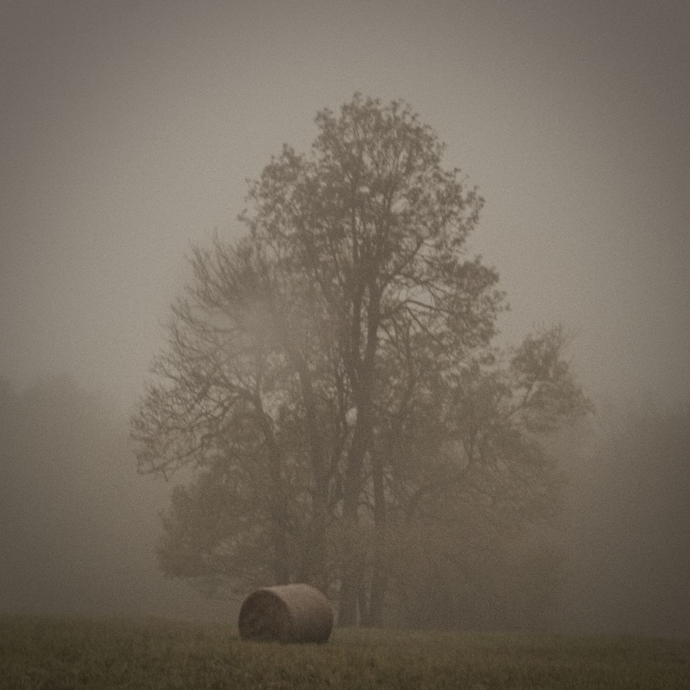 Утро туманное...