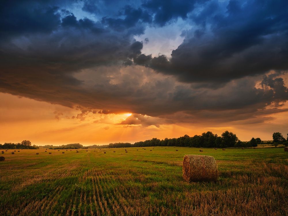 Photograph by Леонид Якутин