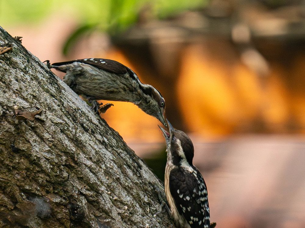 Photograph by Sahil K