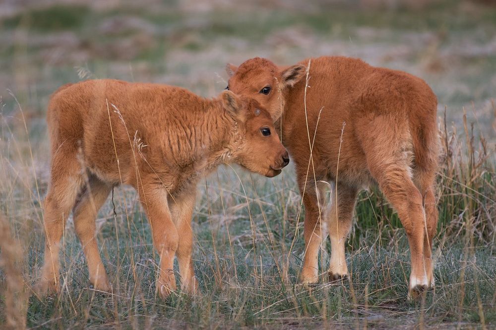 Photograph by Shauna Hart