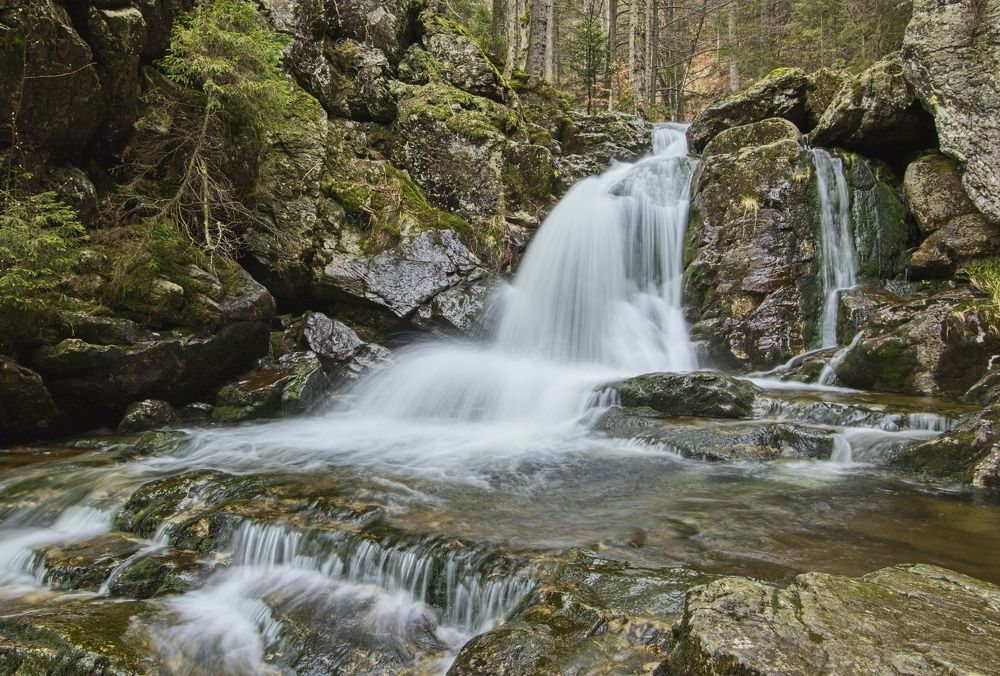 Фотография автора Сергей Довжик