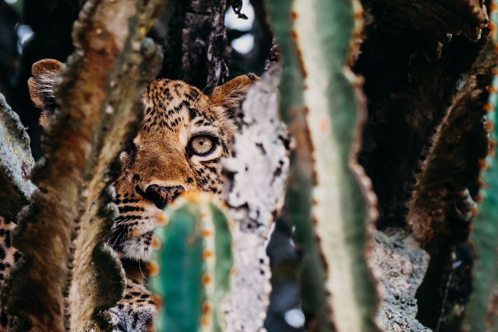 Photograph by Misha Martin