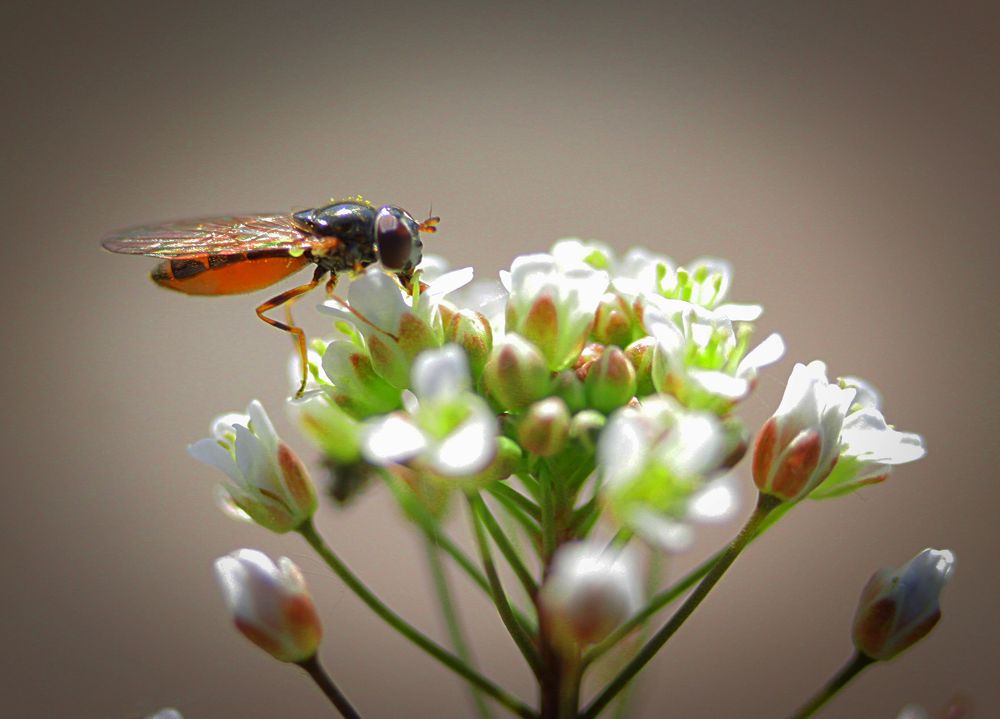 Photograph by Наталья Островцева