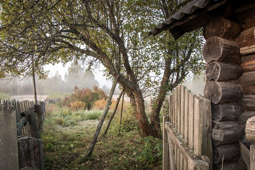 Photograph by Ольга Александрова