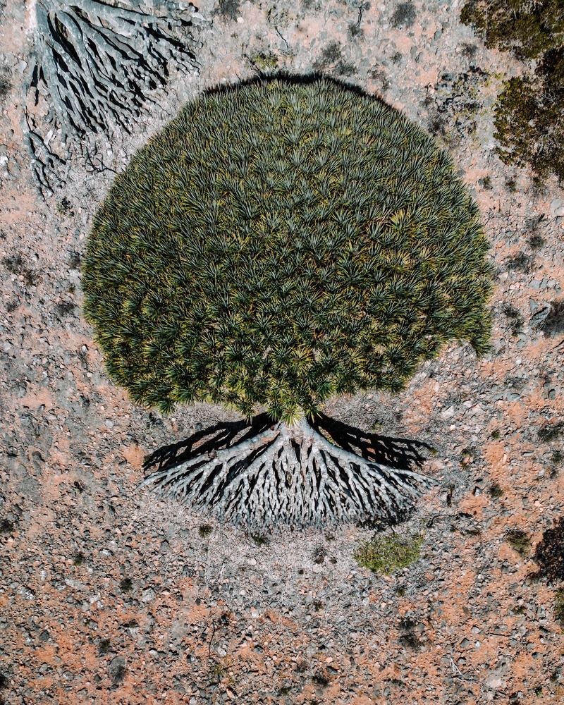 Photograph by Misha Martin