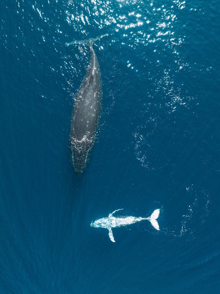 Photograph by Misha Martin