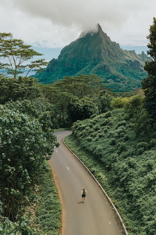 Photograph by Misha Martin