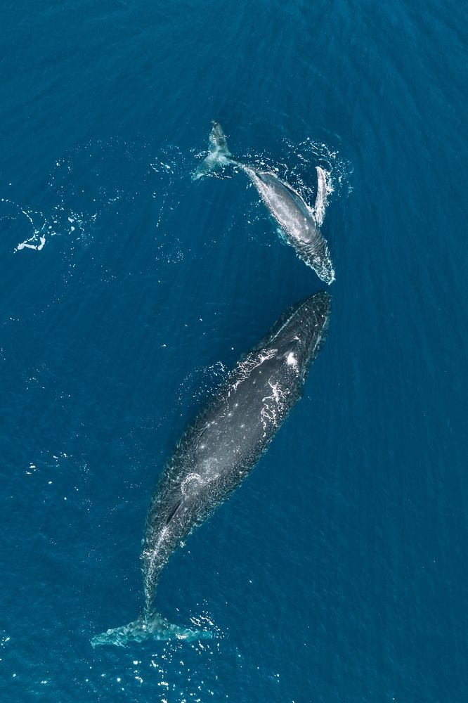 Photograph by Misha Martin