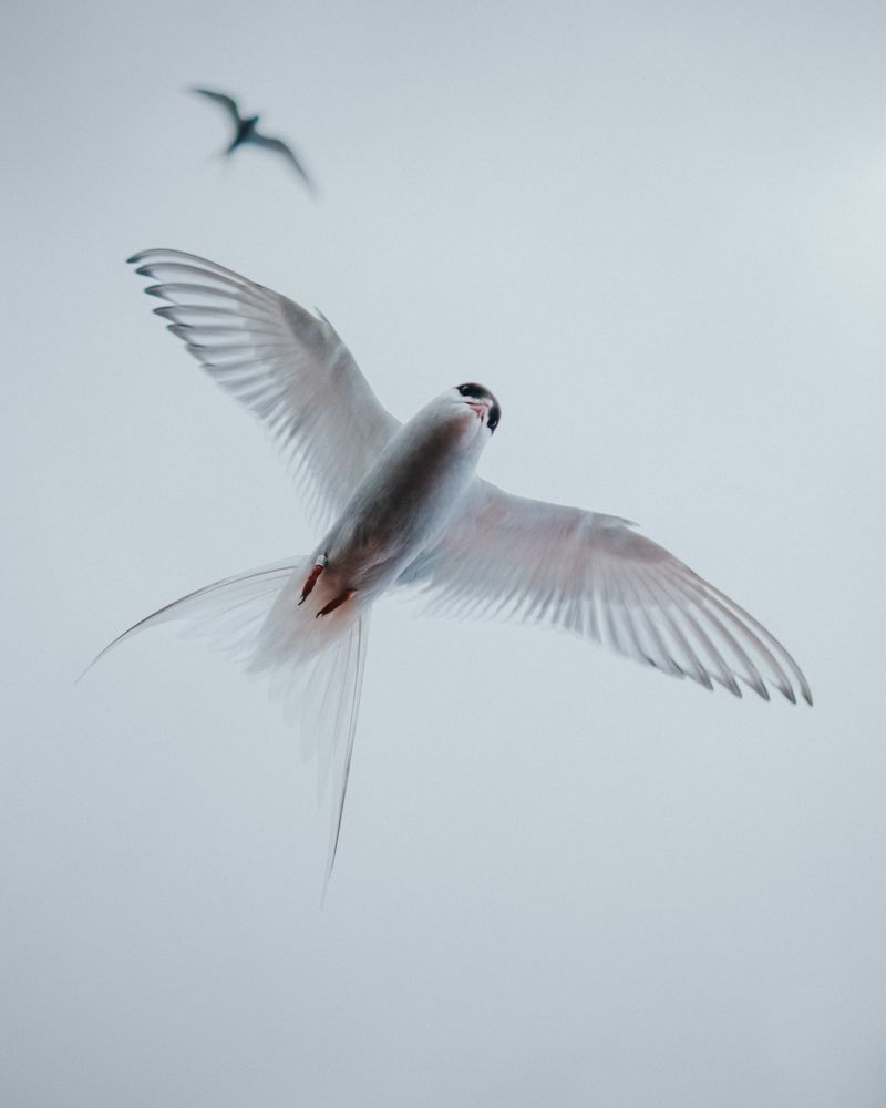 Photograph by Misha Martin