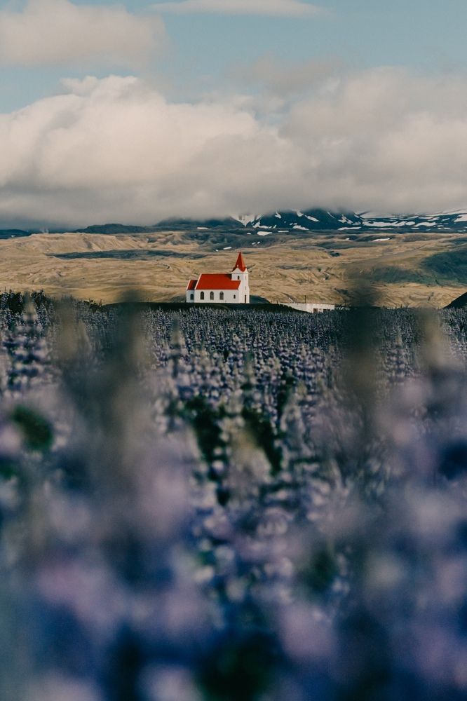 Photograph by Misha Martin