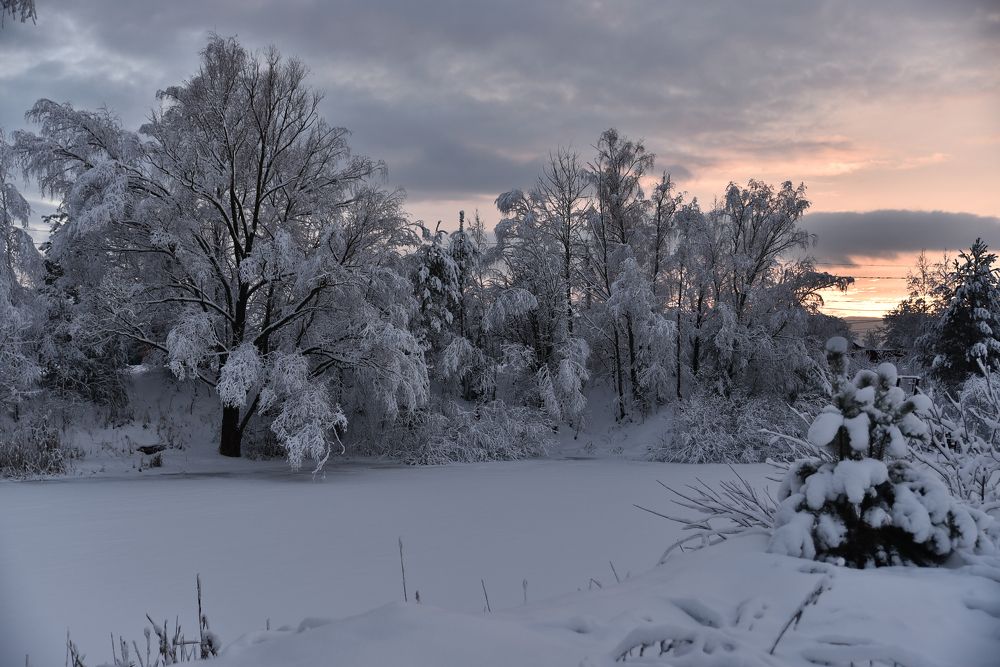 Photograph by Юлия Жданова