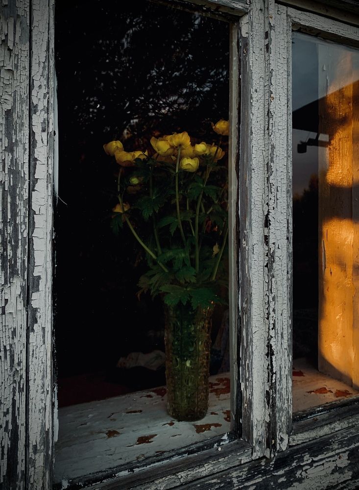 Photograph by Наталия Тарасова