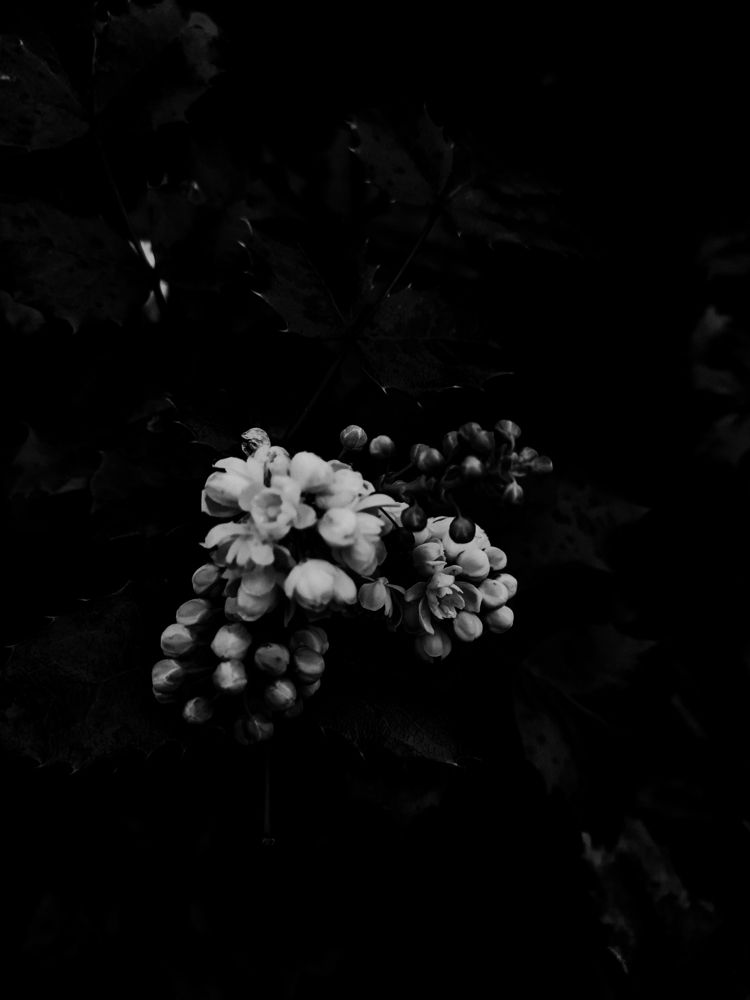 Photograph by Анастасия Агенидзе