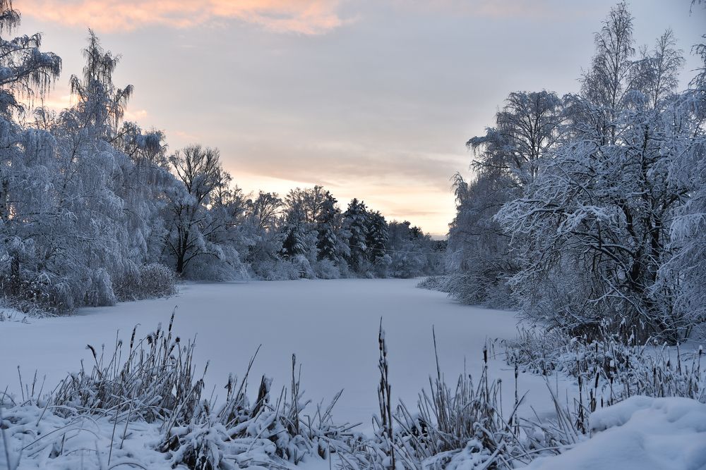 Photograph by Юлия Жданова