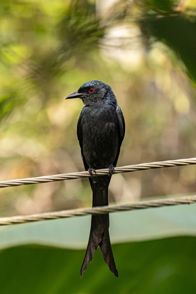 Photograph by Sahil K