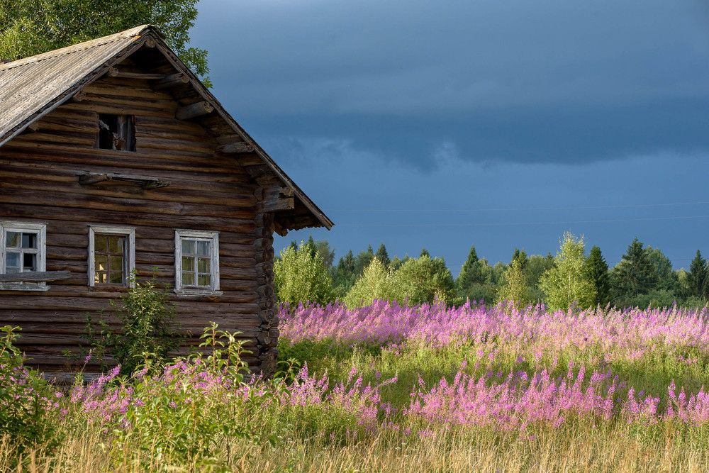 Photograph by Леонид Синев