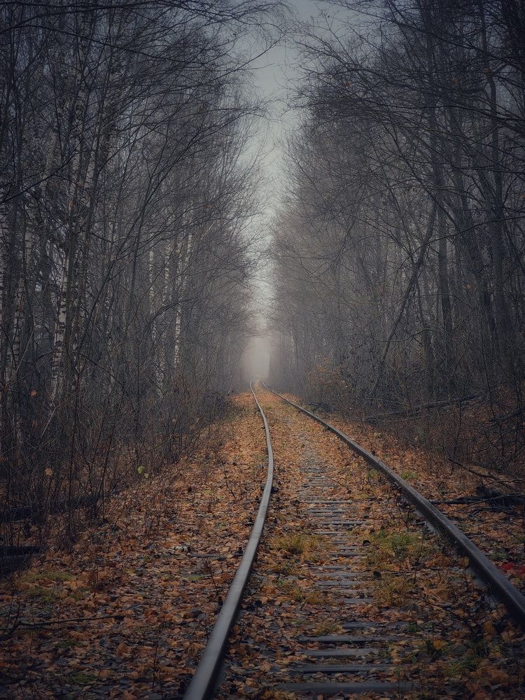 Поздняя осень