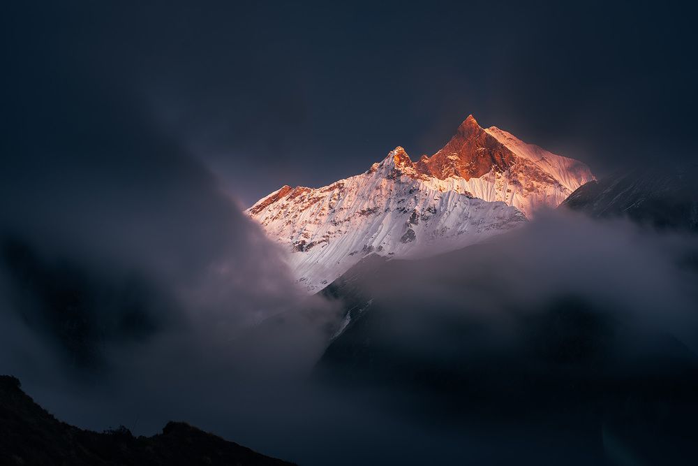 Photograph by Tomislav Safundžić