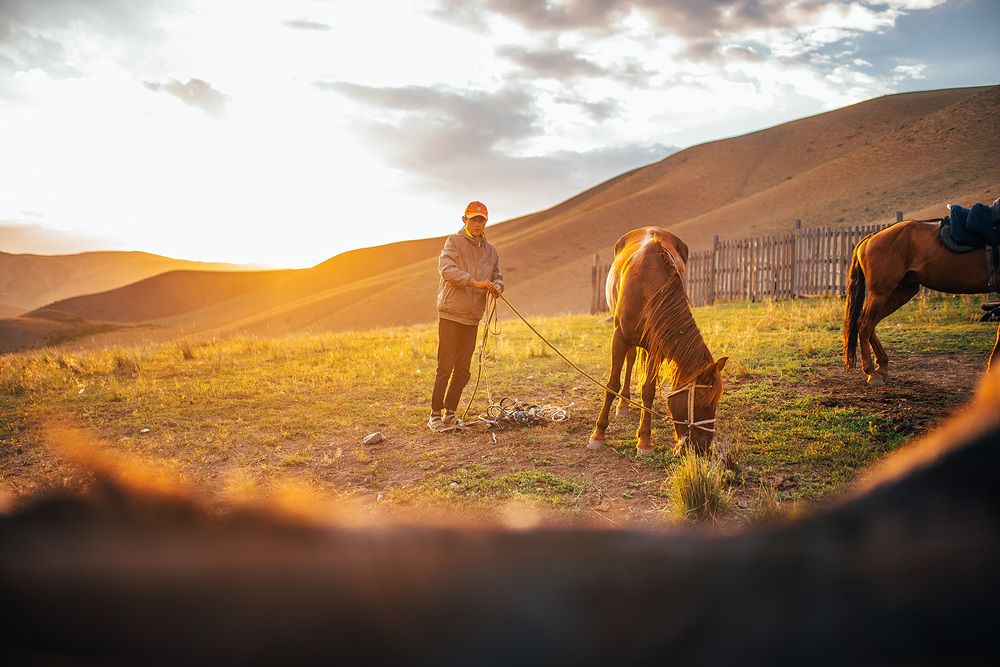 Photograph by Tomislav Safundžić