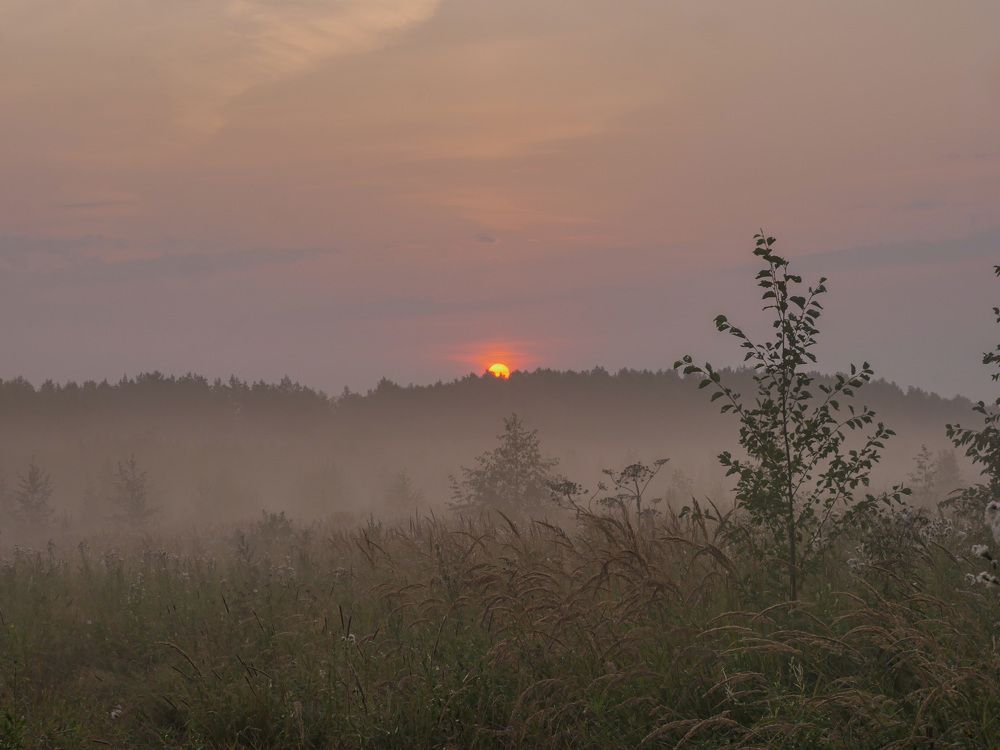 Photograph by Roman Sitdikov