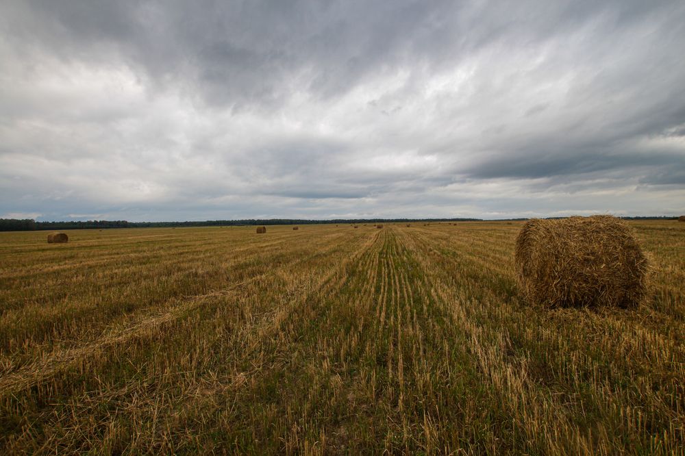 Photograph by Roman Sitdikov