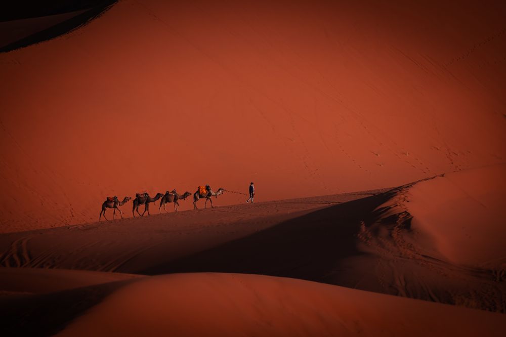 Photograph by Bevzenko Roman