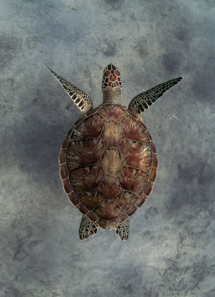 Photograph by Magali Marquez