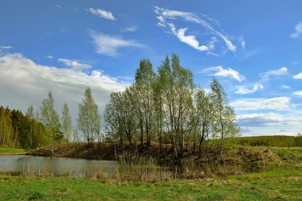 Photograph by Татьяна Федорова