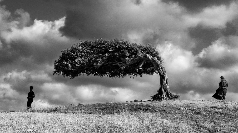 Photograph by Sofiane