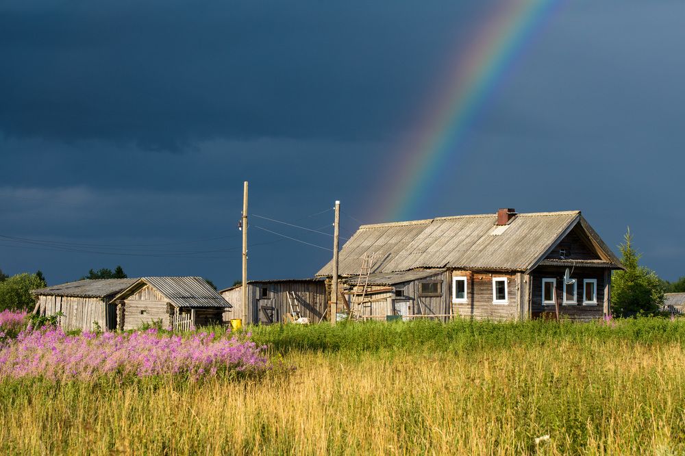 Photograph by Леонид Синев