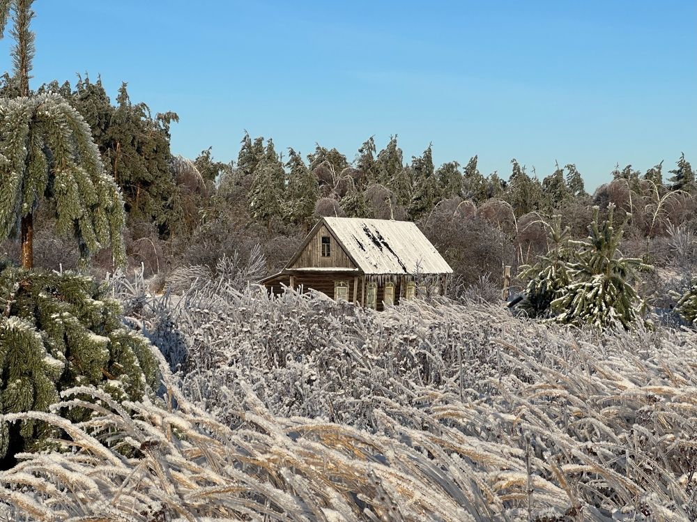 Photograph by Ольга Осинина