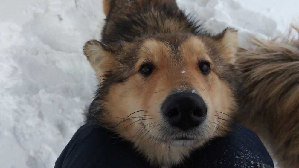 Photograph by Галина Сабитова