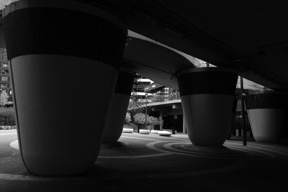 Photograph by Елизавета Киселева