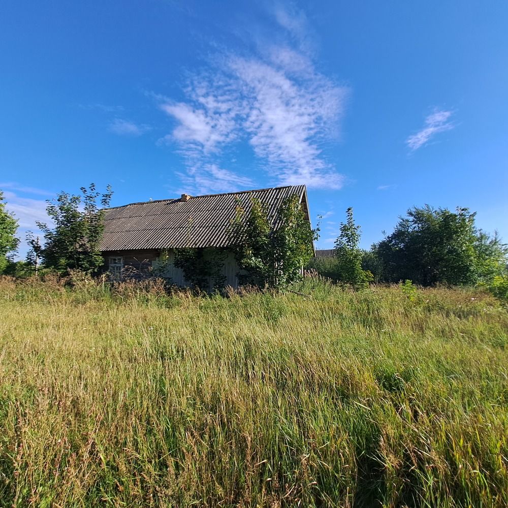 Photograph by Светлана Светлана