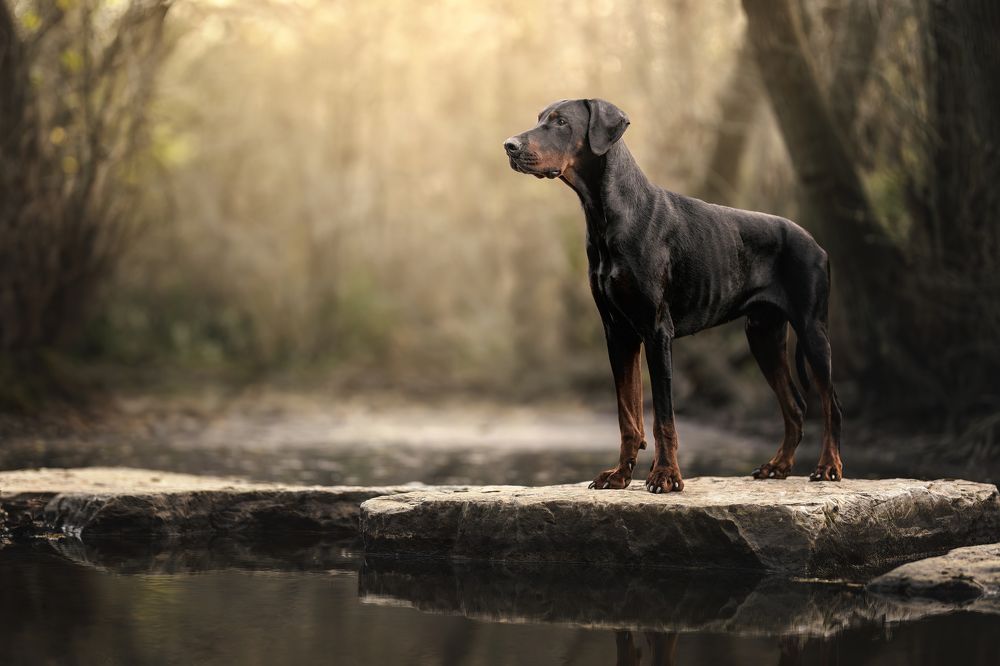 Photograph by Leticia Hernandez