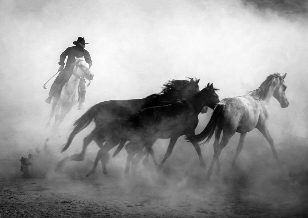 Фотография автора Gilcan Mete Delibay