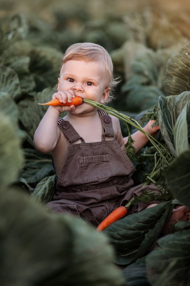 Фотография автора Кристина Догодька
