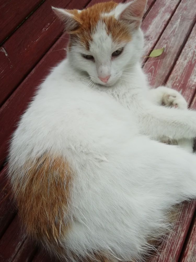 Photograph by Георгий Салюков