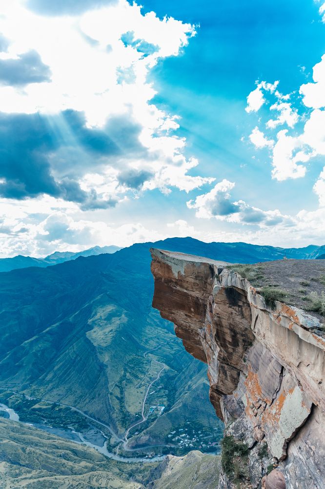 Горный медведь