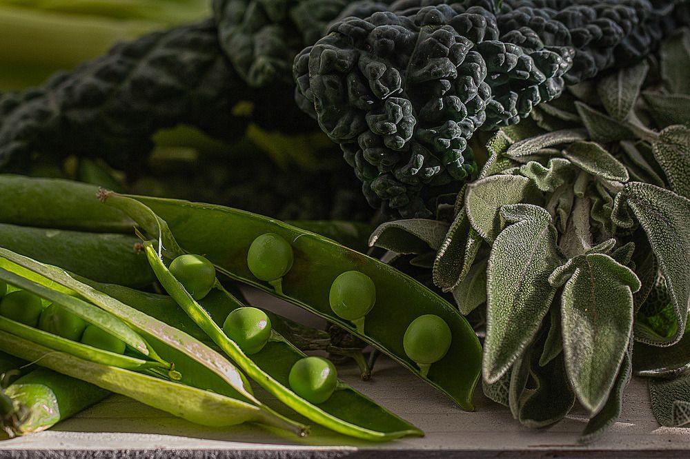 Photograph by Yana Pitchuzhkin