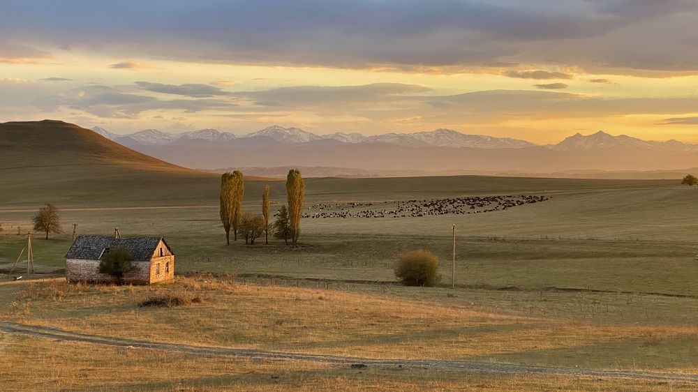 Photograph by v Stark