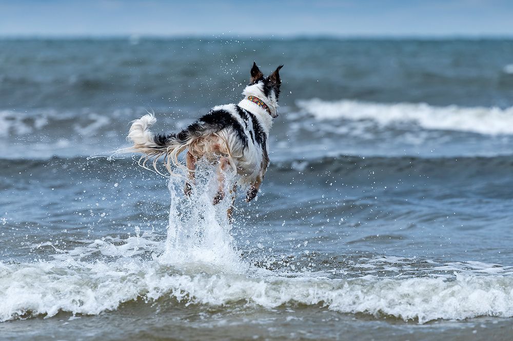 Photograph by Абросимов Александр