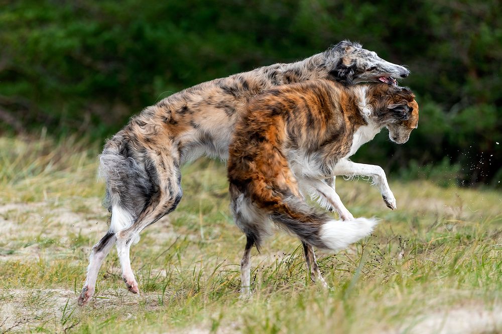 Photograph by Абросимов Александр