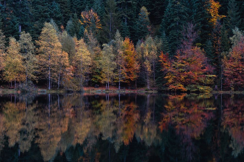 Photograph by Lionel Thenadey